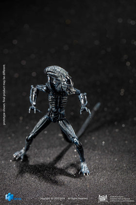 Blue alien warrior shown in window box packaging for collectors