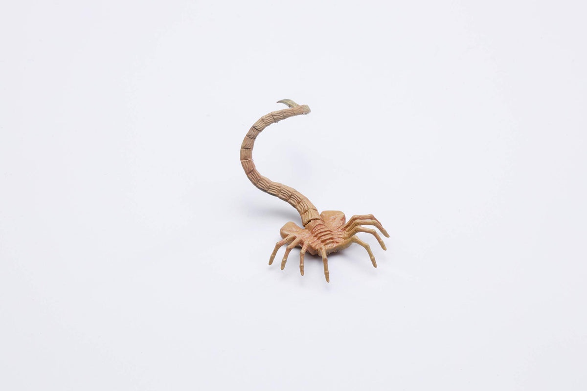 arbenmao Hiya Toys packaging and display-ready set