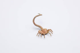 arbenmao Hiya Toys packaging and display-ready set