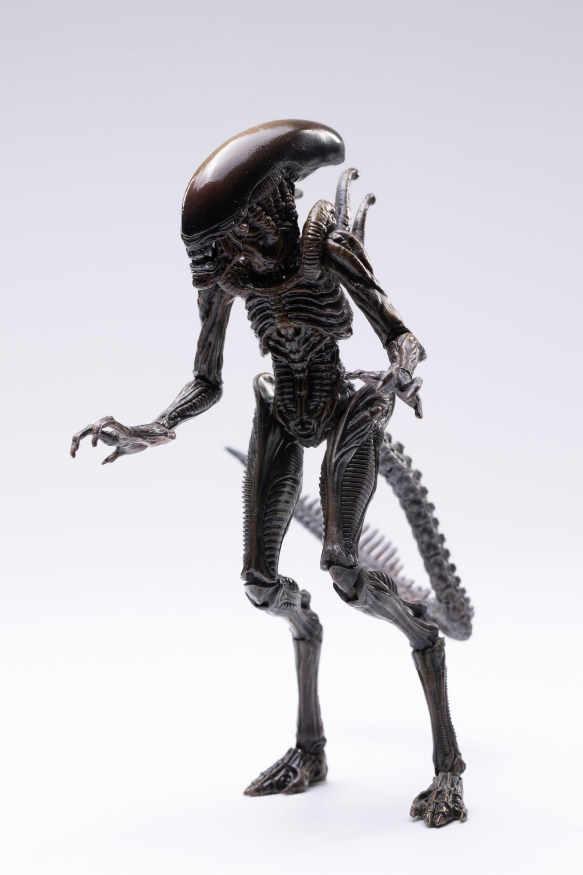 Arbenmao Hiya Toys Ressurection Lead Alien Warrior head detail highlights sculpted features.