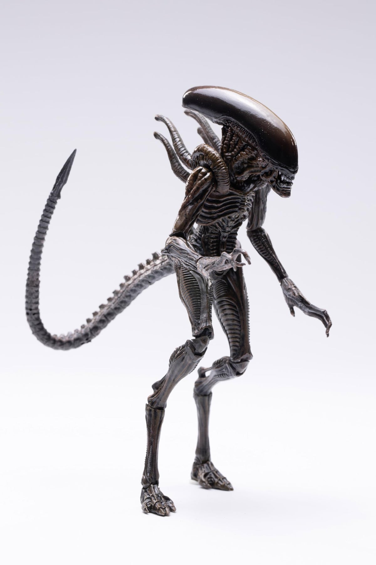Arbenmao Hiya Toys Ressurection Lead Alien Warrior front view shows movie-accurate styling.