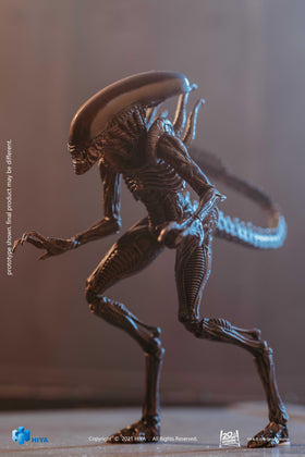 Arbenmao Hiya Toys Ressurection Lead Alien Warrior stand included for stable display.