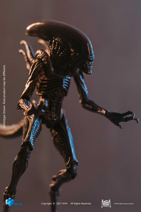 Arbenmao Hiya Toys Ressurection Lead Alien Warrior textured skin with sci-fi realism.