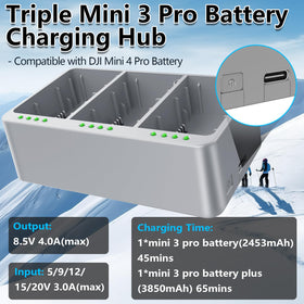 Artman two-way battery charger with safe, sequential charging