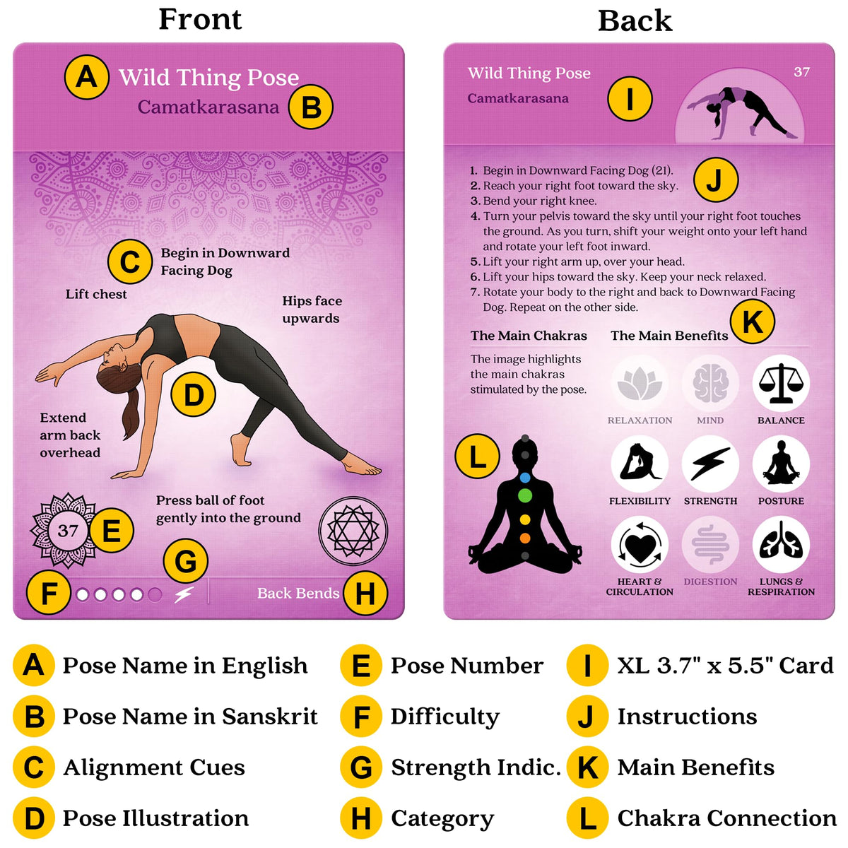 Asana Moon yoga cards illustrations in bright colors aid quick pose recognition