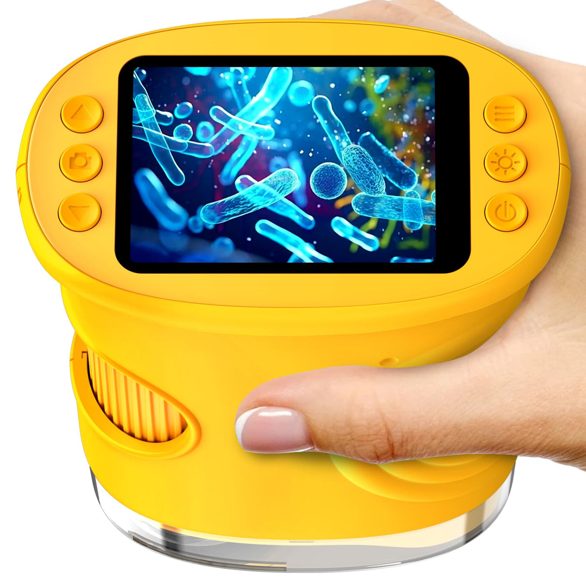 Ashfly 1000X digital microscope front view for kids exploring butterfly wings with vivid magnification.