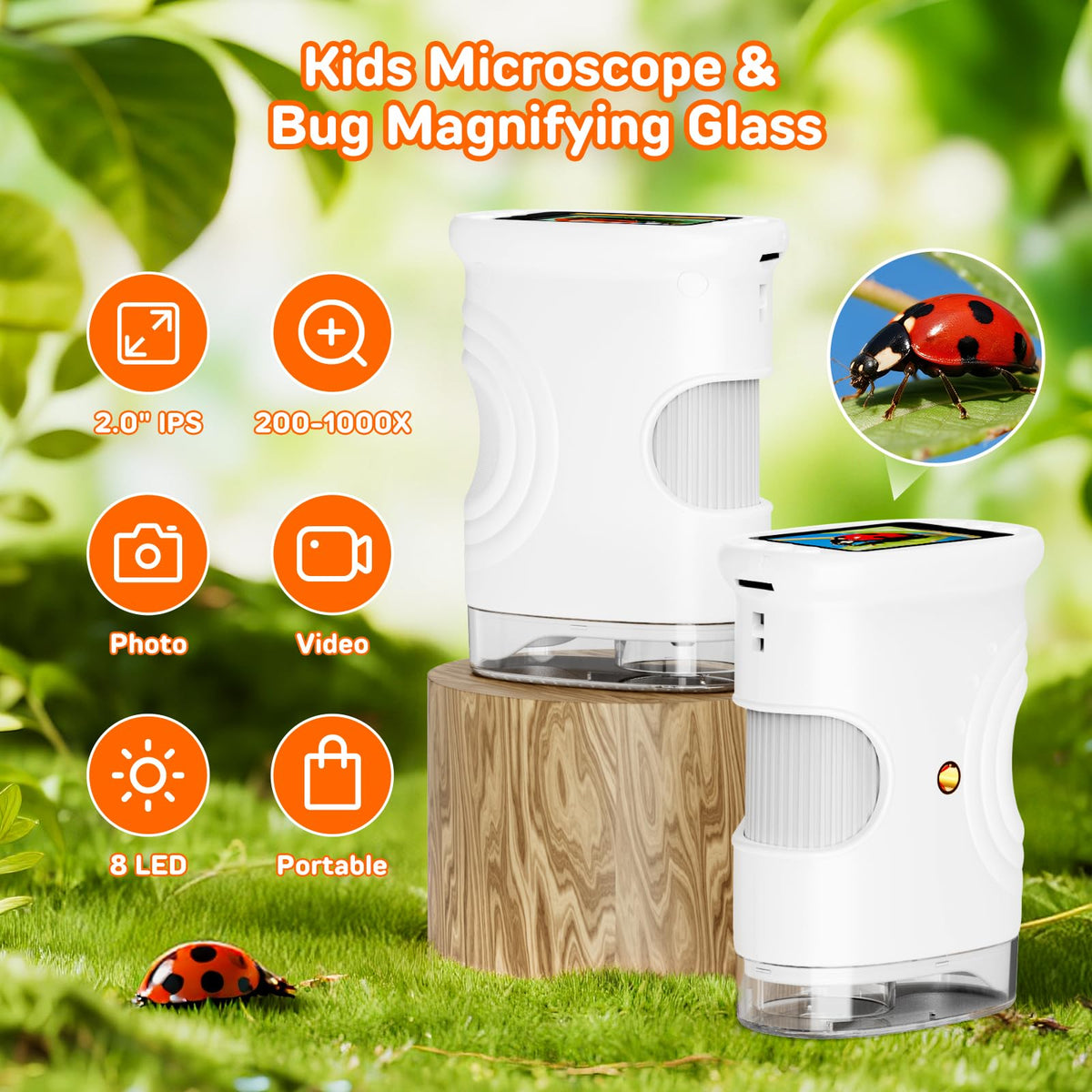 Ashfly 2-inch display view provides magnified observation for kids