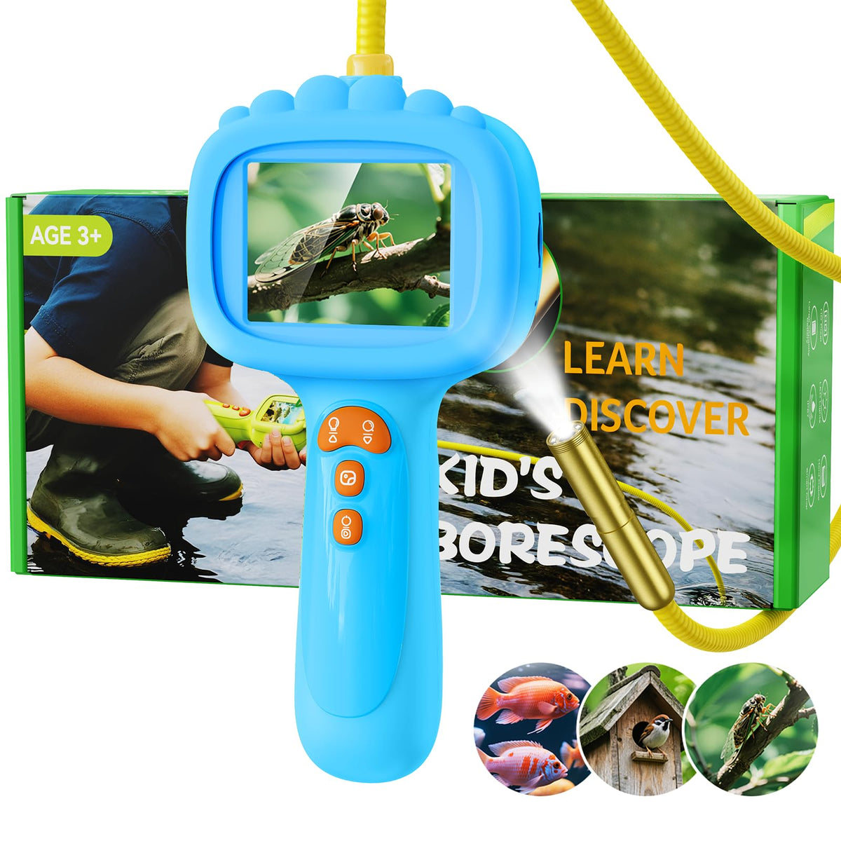 Ashfly Borescope Snake Camera with 2.4-inch display for clear kid-friendly exploration.