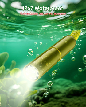 Ashfly 2MP lens with 8 LEDs illuminates dark crevices