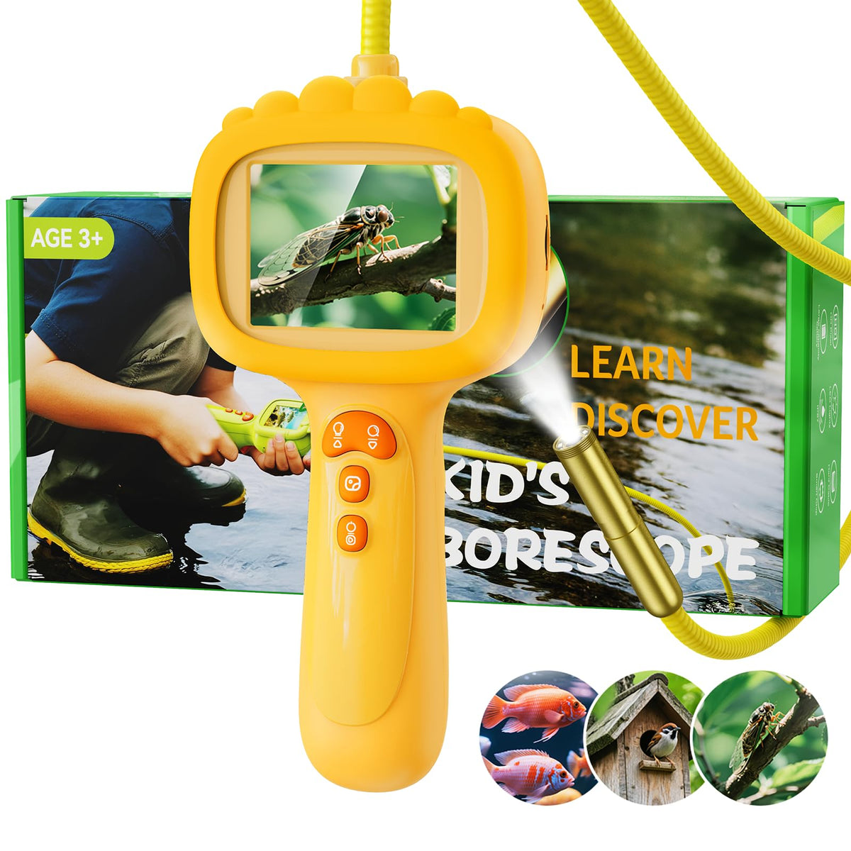 Ashfly borescope packaging showcases kid-friendly STEM toy for exploration