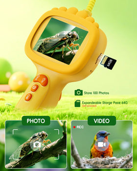 Young explorer uses Ashfly outdoors for insect and nest discoveries