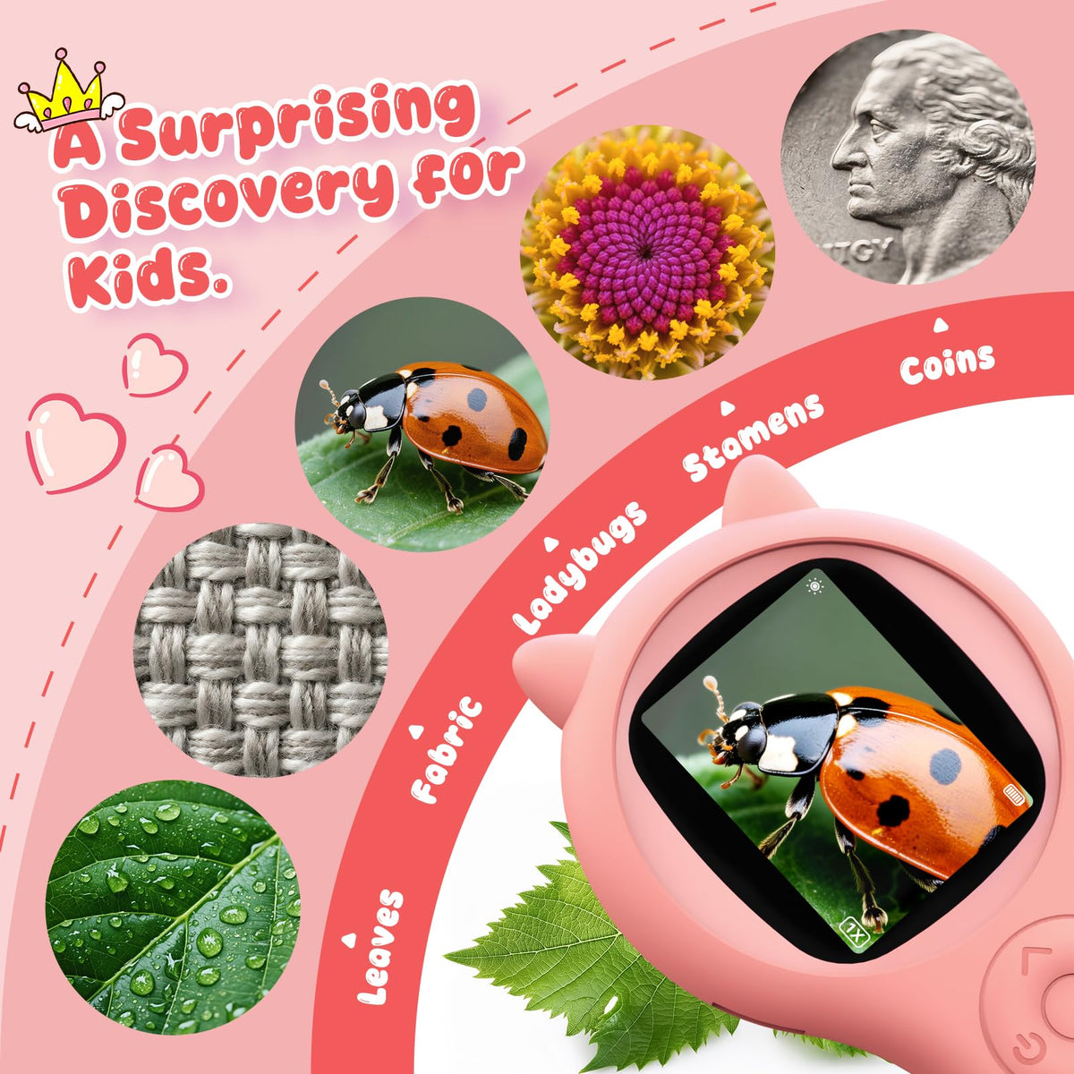 Ashfly circular aperture magnifying glass for quick on-the-go checks