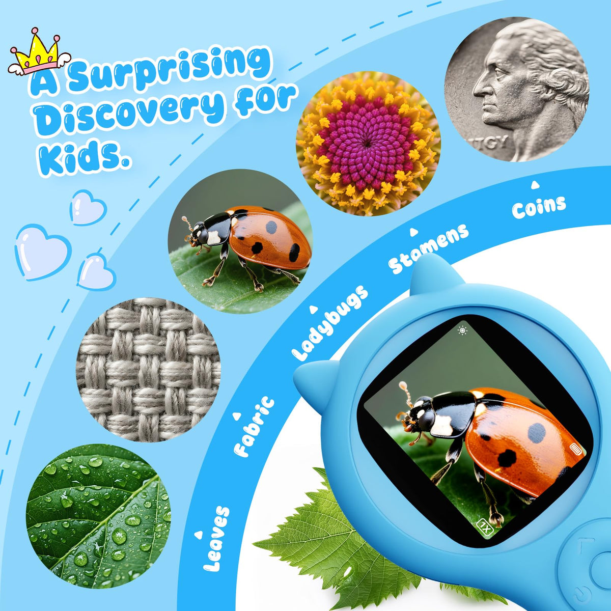 Ashfly blue durable design is built for long-lasting kid-friendly exploration.