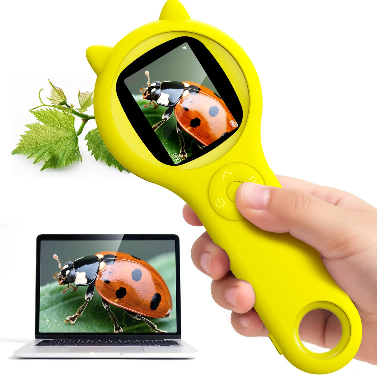 Ashfly handheld microscope with a 2-inch screen for real-time observations.
