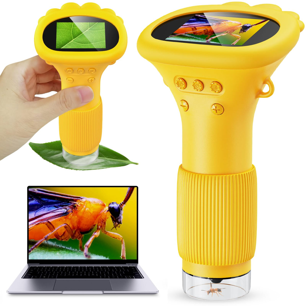Ashfly Kids Microscope with a 2-inch screen for easy on-the-go exploration.