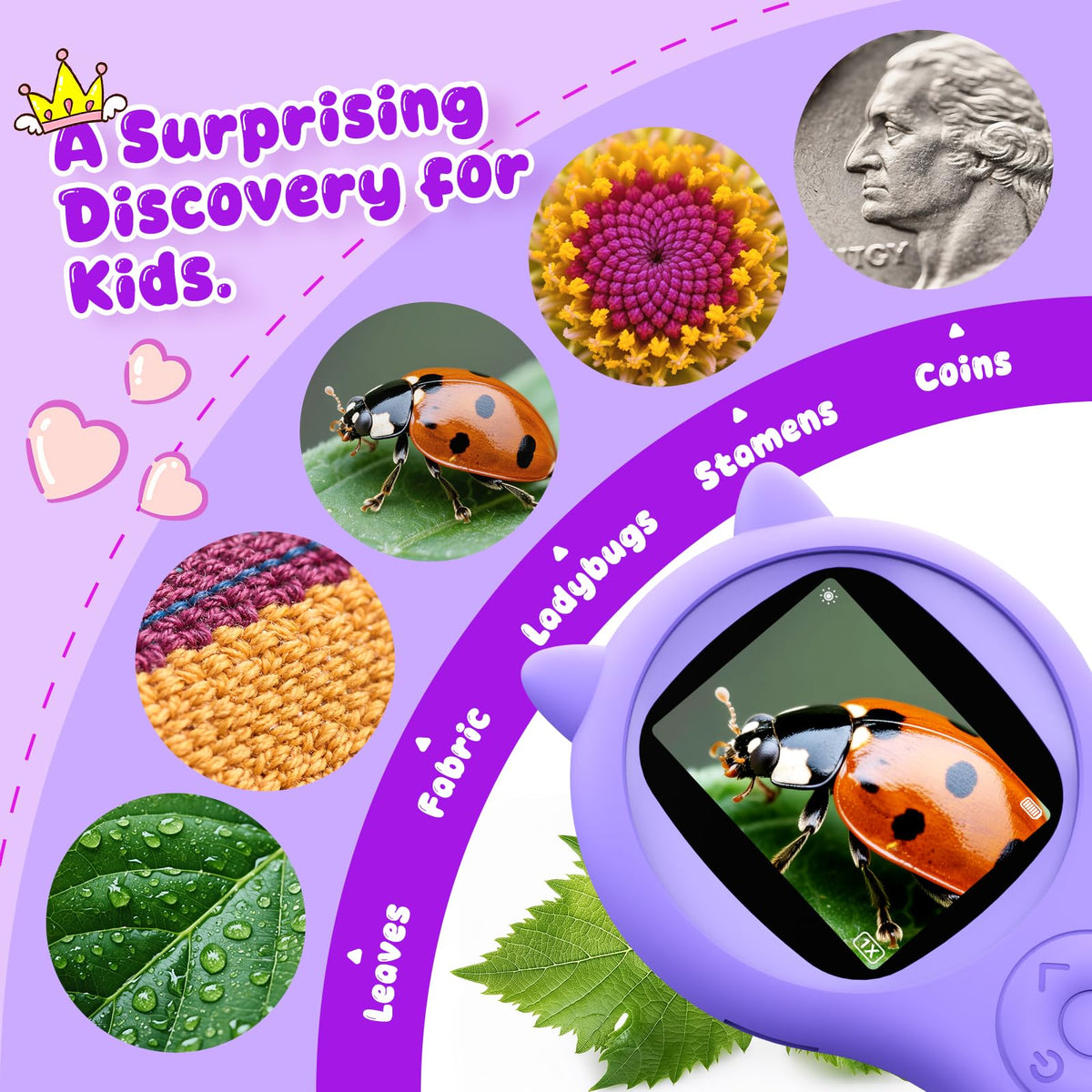 Ashfly gift-ready microscrope designed for ages 5–12