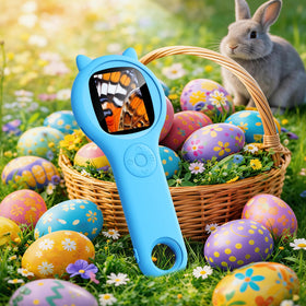 Ashfly helps inspect ladybug spots and bee wings for hands-on learning.