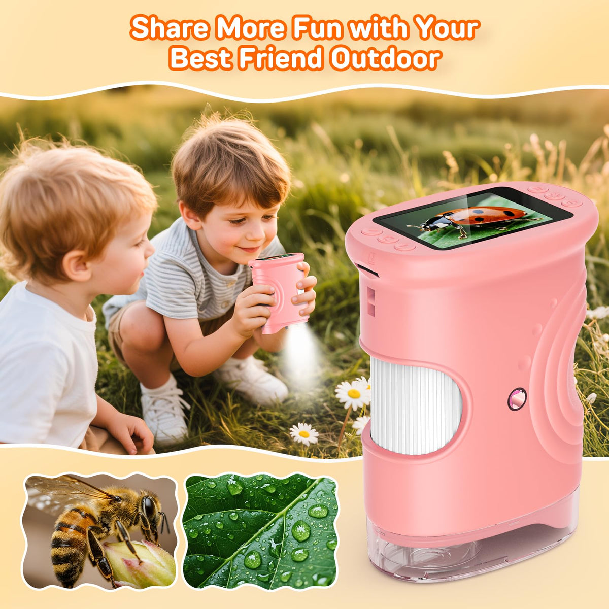 Ashfly photo and video function records discoveries for sharing with family and friends.