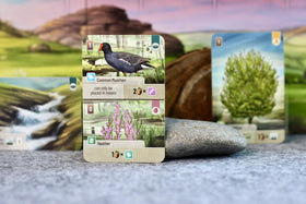 Asmodee Forest Shuffle Dartmoor fauna counters highlight biodiversity goals for gameplay.
