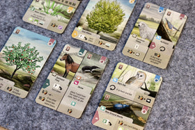 Asmodee Forest Shuffle Dartmoor flora set showcases new plants fueling varied strategies.