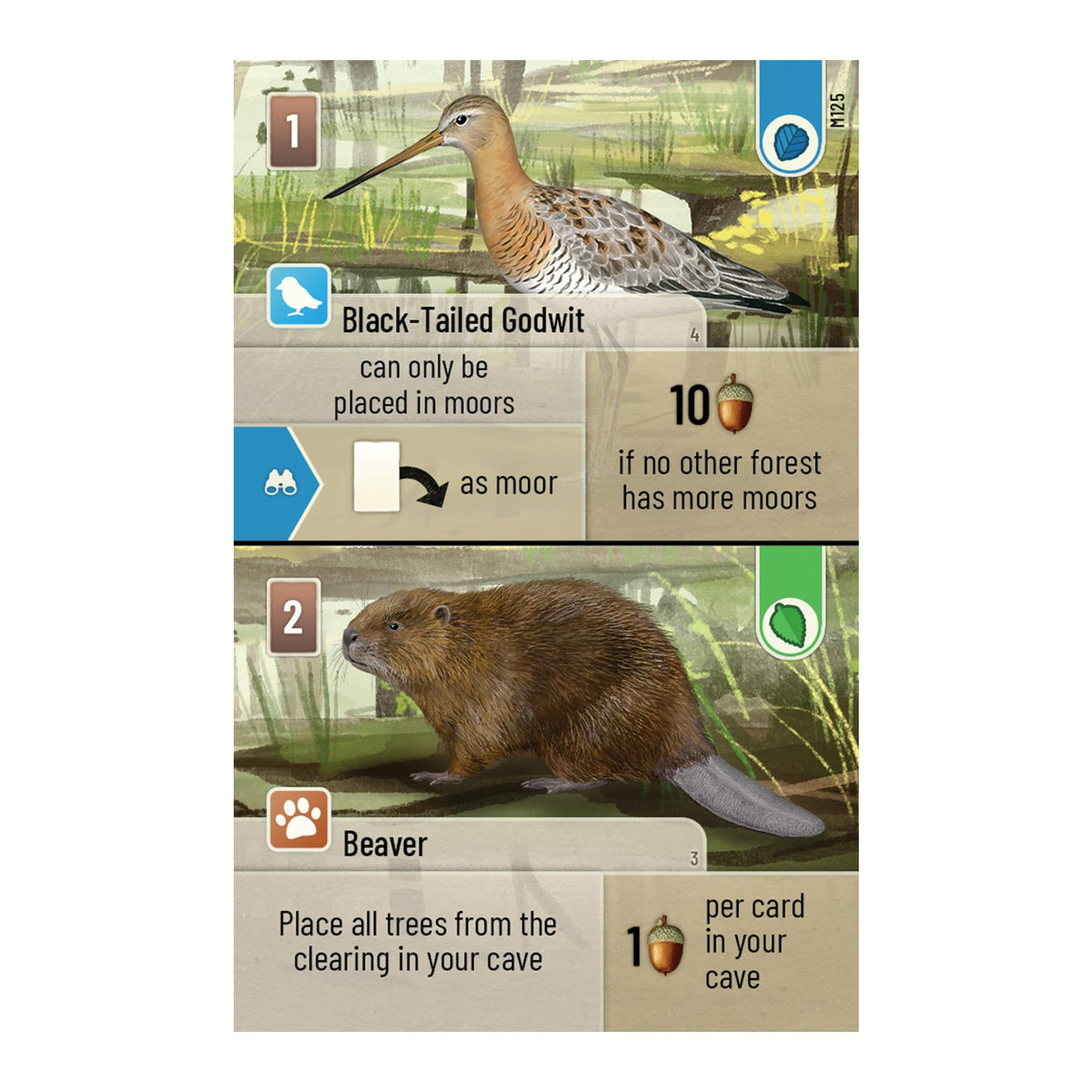 Asmodee Forest Shuffle Dartmoor game box on shelf inviting quick, nature-themed sessions.