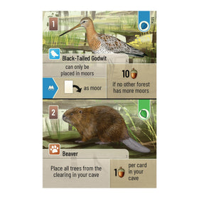 Asmodee Forest Shuffle Dartmoor game box on shelf inviting quick, nature-themed sessions.