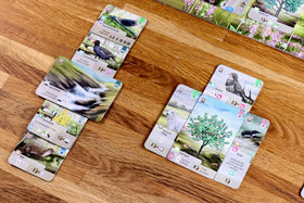 Asmodee Forest Shuffle Dartmoor habitat tiles illustrate diverse ecosystem options.