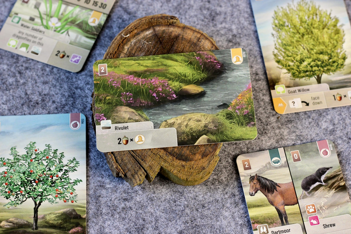 Asmodee Forest Shuffle Dartmoor tree pieces arranged for strategic ecological balance.