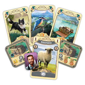 Asmodee Great Western Trail 2nd Edition NZ cards deck visual showcases strategic variety.