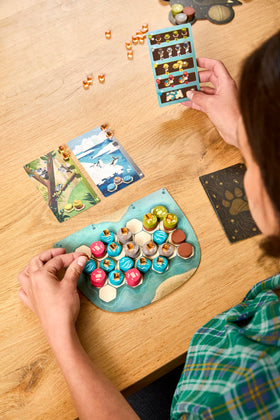 Asmodee Harmonies cards feature Libellud artwork for dreamy landscapes