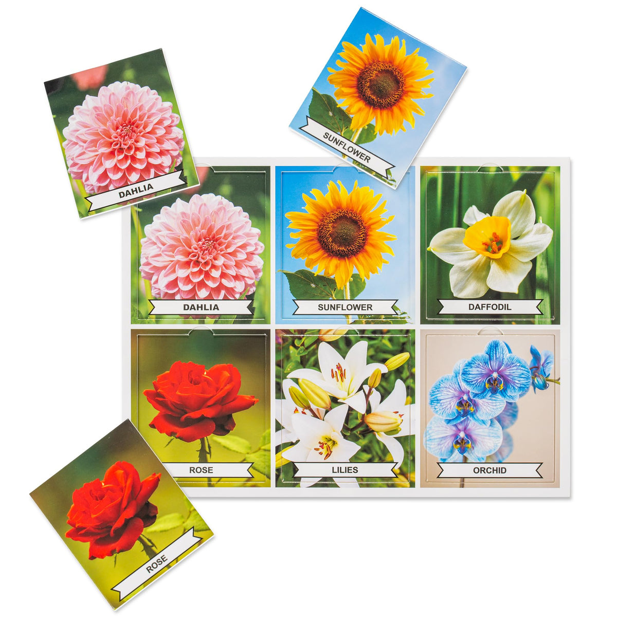 Assistex matching game board ocean life with vivid imagery for interaction and memory cues