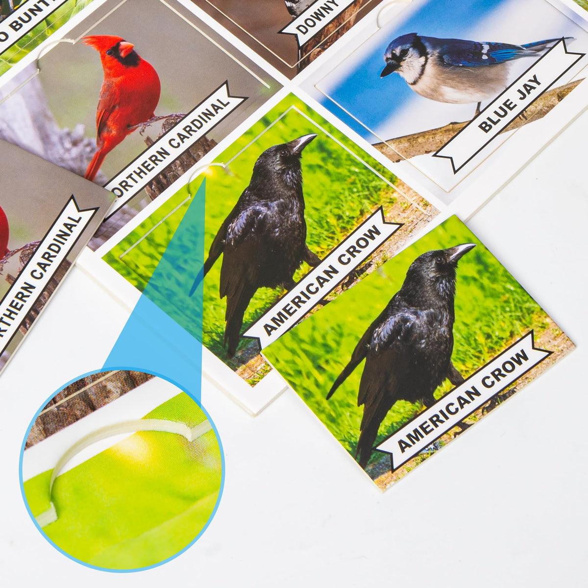 Assistex matching game board pets with bright photos inviting familiar stories