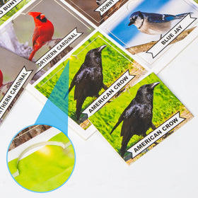 Assistex matching game board pets with bright photos inviting familiar stories