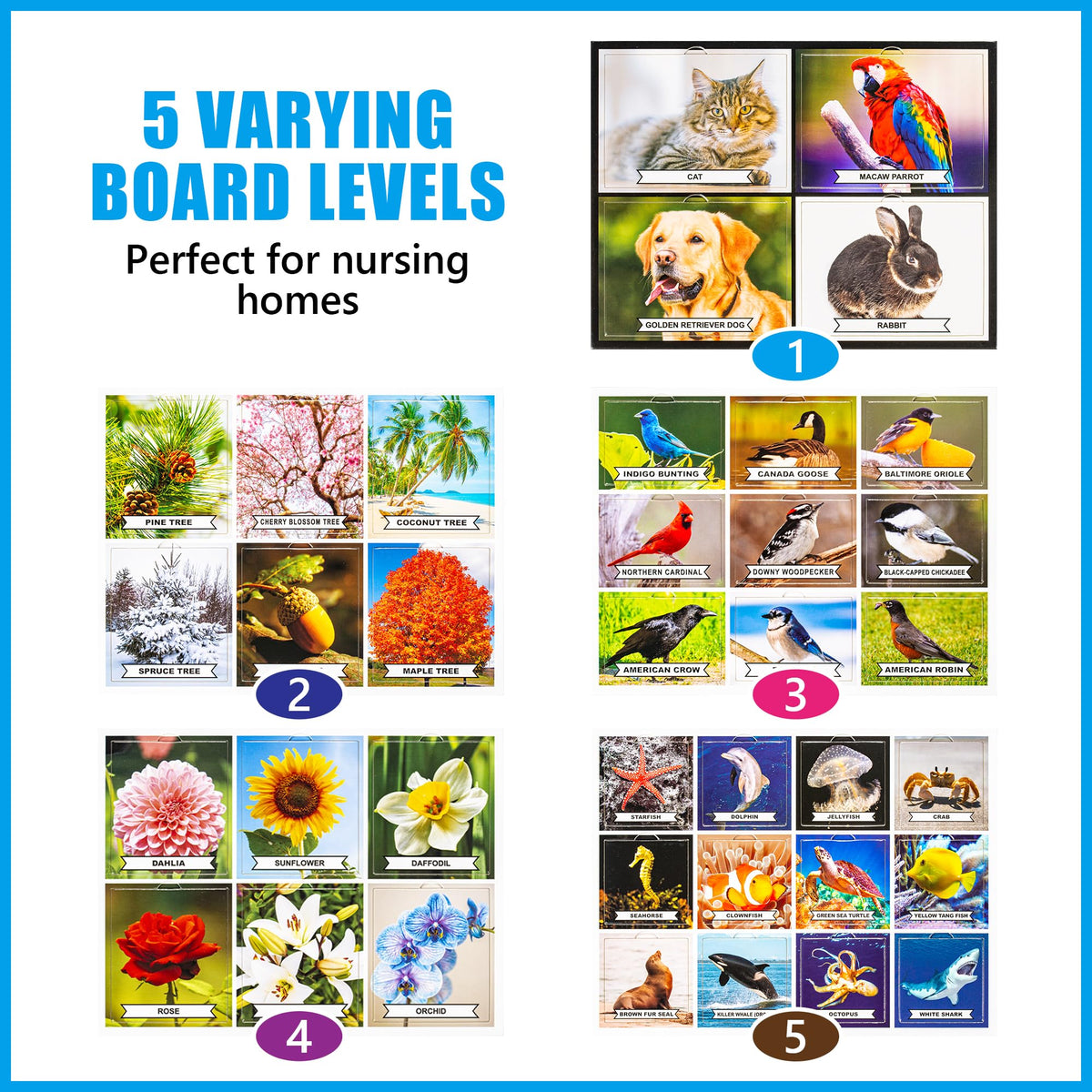 Assistex matching game board trees with colorful scenes to engage attention and focus