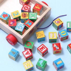 Atoylink blocks featuring shapes and animals for shape recognition.