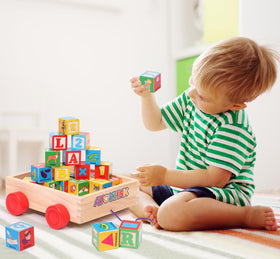 Atoylink toddler-friendly educational gift for curious minds.
