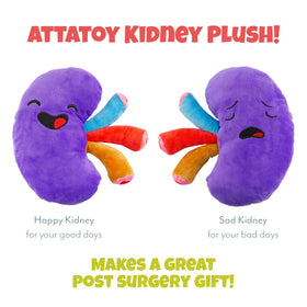 Attatoy body part collection includes kidney plush alongside other organ toys.