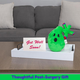 Attatoy Gallbladder Plush color details ideal for decor.