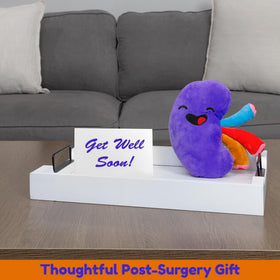 Attatoy Kidney Plush supports education for kids and caregivers.