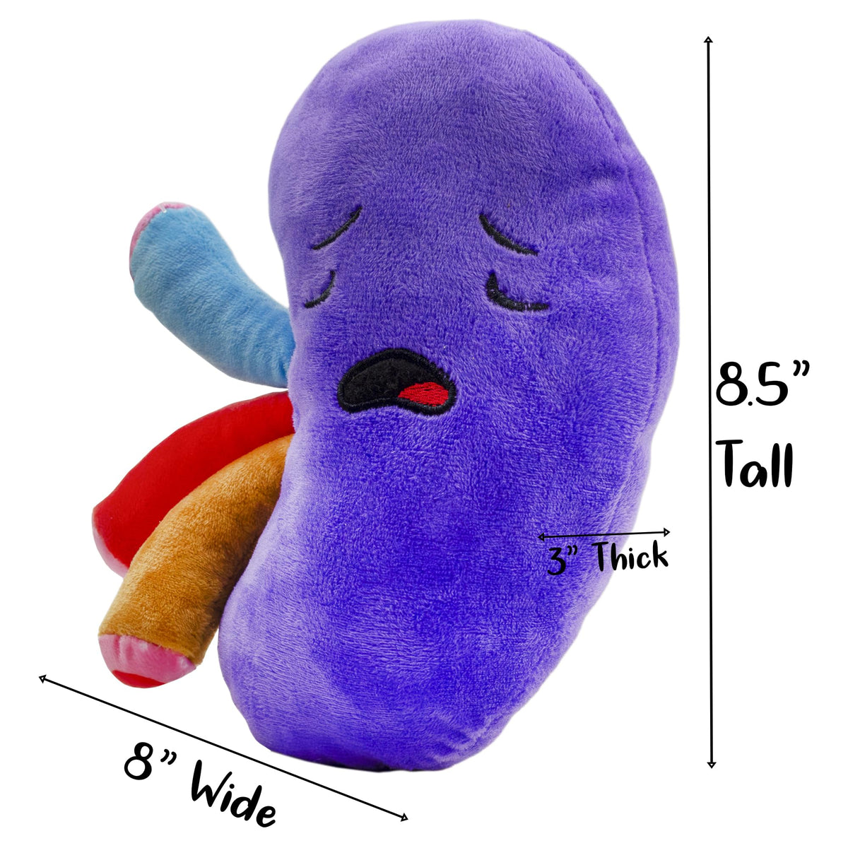Attatoy Kidney Plush features purple colors with bright accents for engaging play.