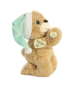 Aurora Charlie Prayer Bear bean-free plush for all ages