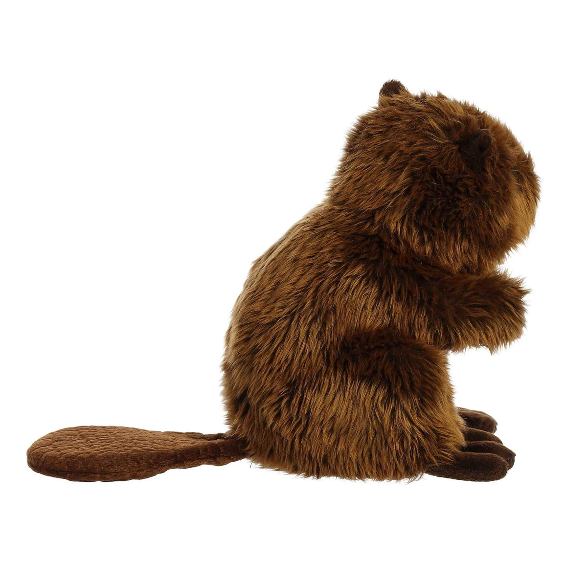 Aurora Miyoni beaver face detail highlights expressive eyes for comforting companionship