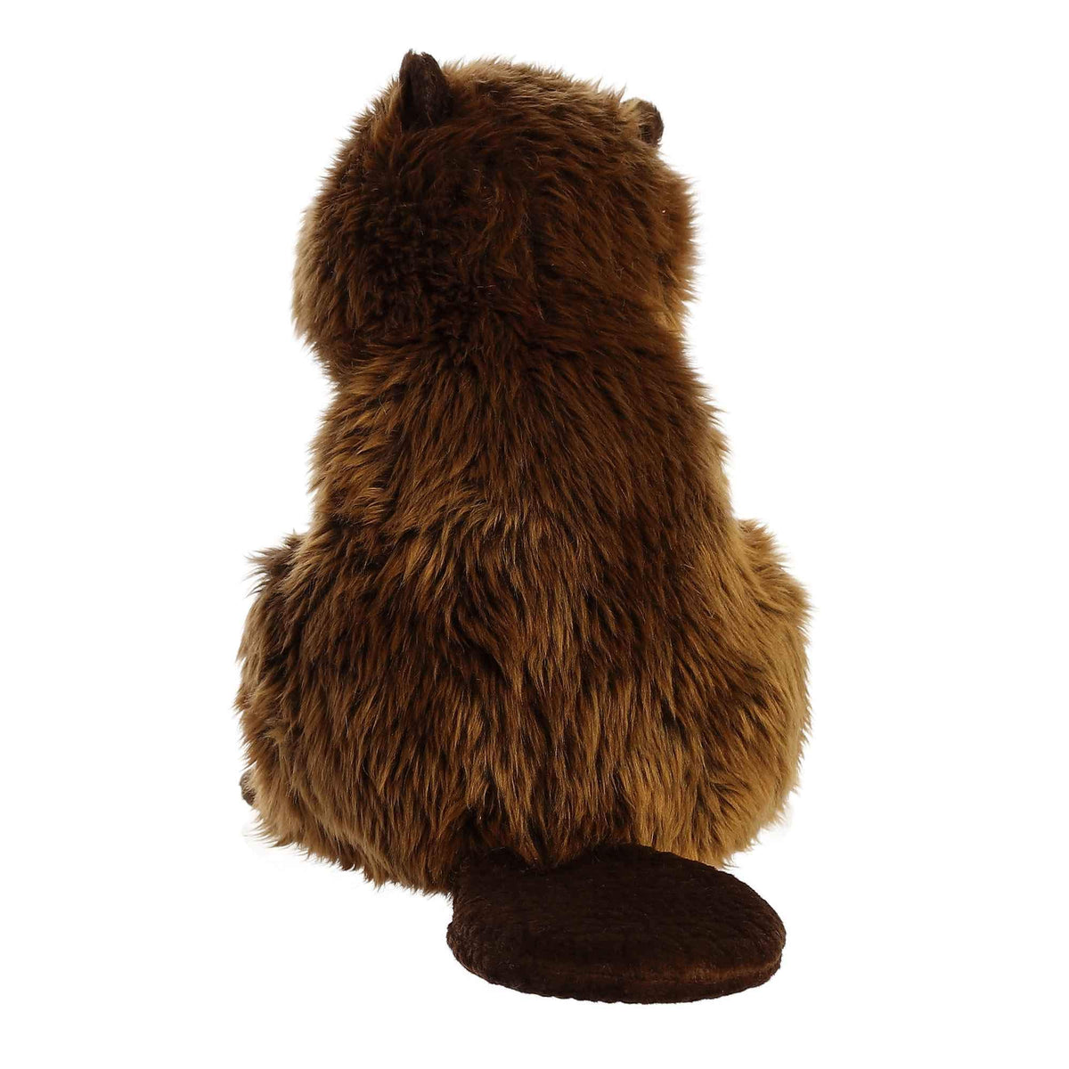 Aurora Miyoni beaver hang tag reveals unique species information for collectors