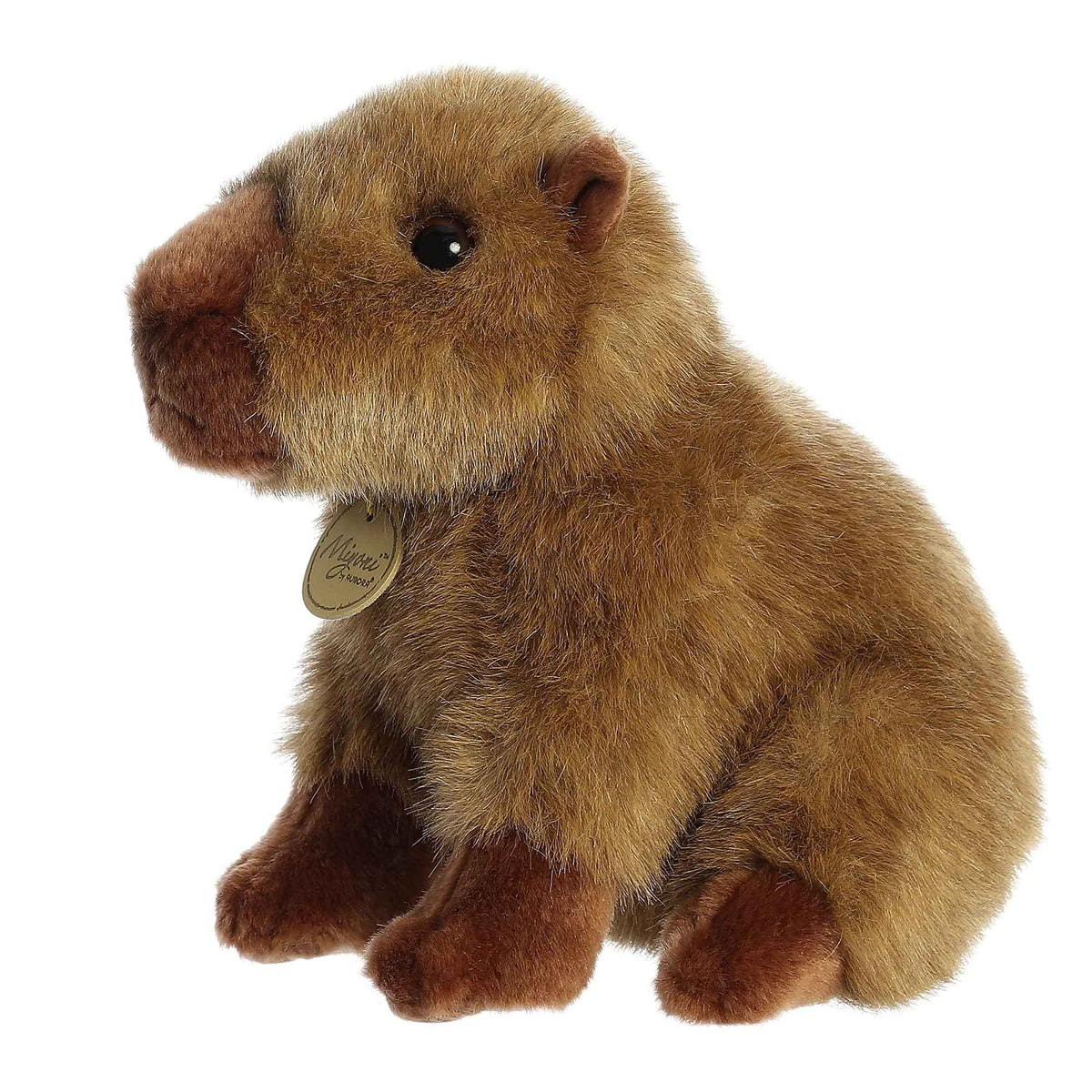Aurora Miyoni plush includes a species tag for educational storytelling.