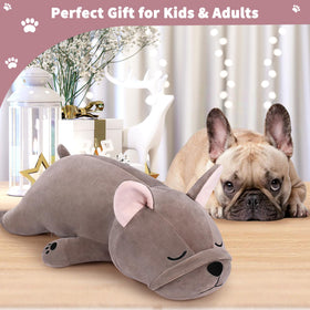Auspicious Beginning plush in nursery for storytelling and play.