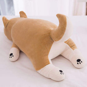 Auspicious Beginning Shiba Inu Plush hug mode, perfect reading buddy