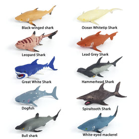 Axbotoy bull shark 8in—durable rubber bath toy for water play