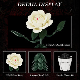 AZBHDTYS Wonderland Flower face details—expressive eyes and smile on display.