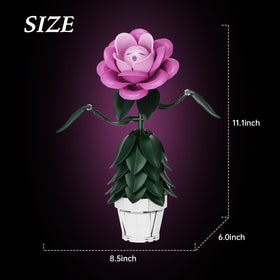 AZBHDTYS Wonderland Flower gift box makes a stylish Mothers Day or birthday present.