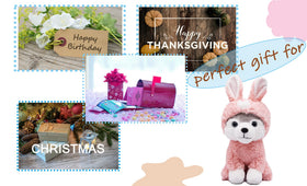 BABOLI husky in bunny costume provides comforting companion for kids and fans alike.